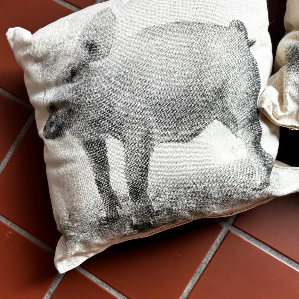 NEW Pig & Goat Pillows by Eric & Christopher 100% cotton Whimsical Farm …
